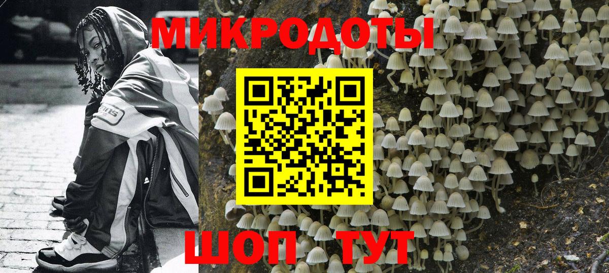 Псилоцибиновые грибы Magic Shrooms Камышлов