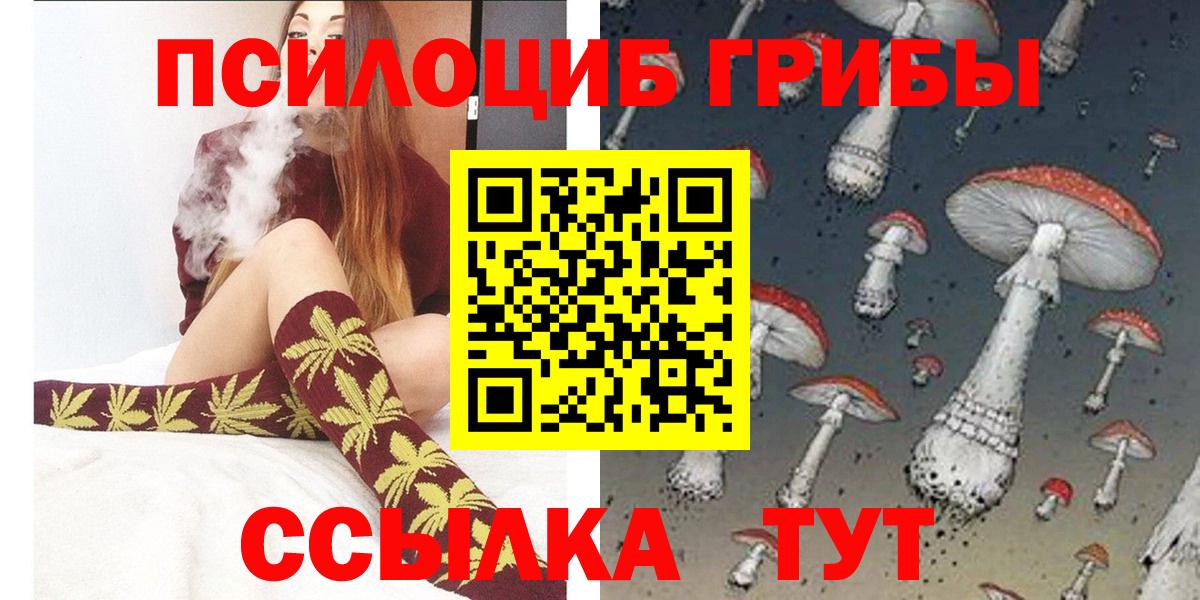 наркошоп  Вход с VPN  Камышлов  Псилоцибиновые грибы MAGIC MUSHROOMS 