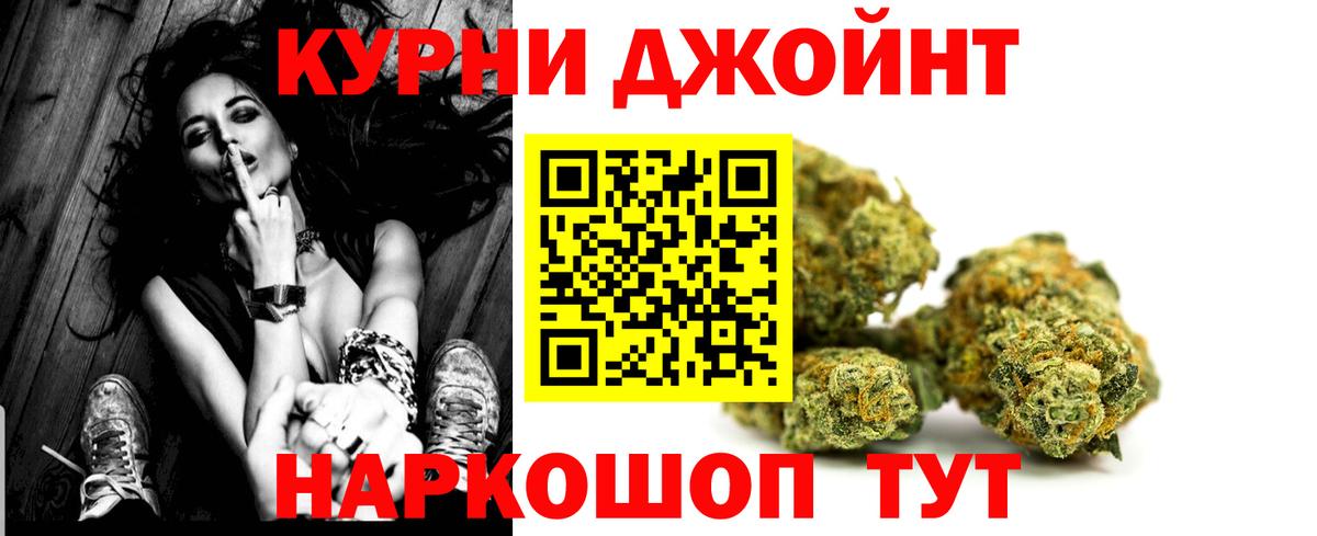 Марихуана план  Шишки марихуана ГИДРОПОН  Вход с VPN  Камышлов  Бошки Шишки White Widow 